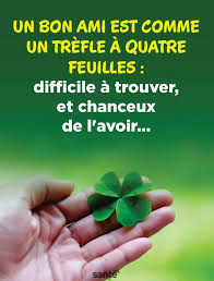 Epingle Sur Citation