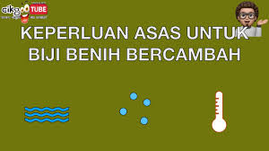 With iko uwais, byron mann, li jun li, lawrence kao. State The Basic Needs For The Seeds To Germinate