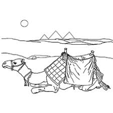 Camels have three sets of eyelids and two rows of eyelashes to keep sand out of their eyes. Top 25free Printable Camel Coloring Pages Online
