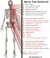 You may feel a dull, throbbing pain at the base of your skull. Body Spine Alignment