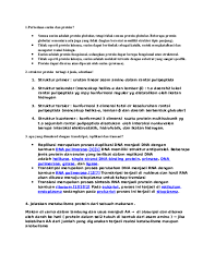 Warning, notice, atau caution (peringatan atau. Apa Itu Protein Fungsional Pengertian Dan Hubungan Antara Sintesis Protein Dengan Ekspresi Gen Datelinerochesterny