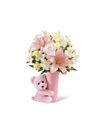 The Ftd Baby Girl Big Hug Bouquet