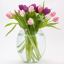 Household bleach is capable of breaking down so the environment turns it back into salt water. Home Dzine Jik Keeps A Home Hygienically Clean And More