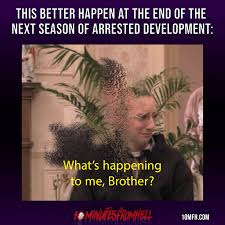 38 iconic moments from arrested development that even the. Arrested Development Infinity War Meme 10 Minutes From Hell