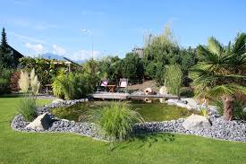 Biotop Naturparadies Im Wunderschonen Garten Wasserspiel Garten Garten Wasser Im Garten