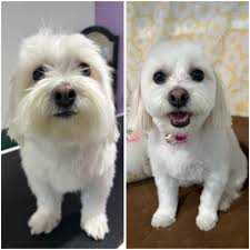 The power of friendship in small acts