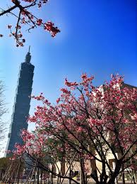 Tall flowers can frame a flowering planting. Red White Flowering Tree Building Taiwan Taipei Architecture 101 Spring Travel Pxfuel