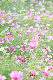 Pin On Paint Me Pink Blog