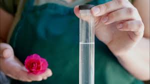 May 08, 2010 · filtration will be the key to clearing up the cloudy water. Clear Distilled Rose Water Youtube