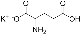 Image result for Monothecium