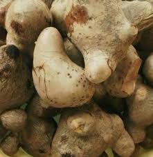 Image result for Dioscorea dumetorum