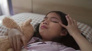 34 Teddy Gross Stock Videos, Footage, & 4K Video Clips