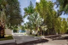 Garten Palmen Fur Den Garten Tipps Zur Pflanzung Pflege Und Uberwinterung Palmen Fur Den Low Water Landscaping Gorgeous Gardens Inspiring Outdoor Spaces