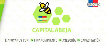 Dicho aporte corresponderá a un porcentaje del subsidio sercotec, el cual será definido por cada dirección regional. Postula Al Capital Abeja Emprende Programa Crecemujer Bancoestado
