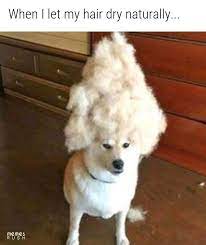 Funny text art funny text pictures funny text messages fails text jokes funny emoji texts very funny texts cute texts emoticons text funny emoticons app of the week: 21 Random Funny Memes Funny Animal Memes Funny Pictures Funny Animals