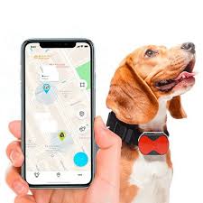 Akilli Gprs Sistemi Kedi Kopek Takip Cihazi