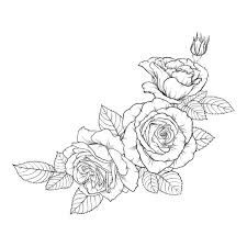 Tattoo Rose Line Drawing Rose Drawing If you don't have a green thumb, you can still create a rose on paper.