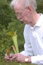 Photos of Wilmington, NC, during the 2000s