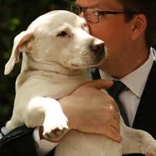 Philip Bump's Profile