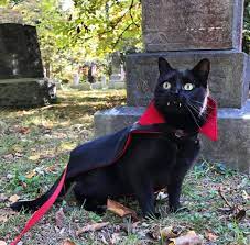 Pin On Animals