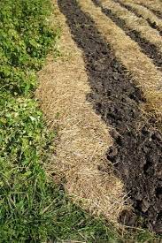 Preparing Your Vegetable Garden For Winter Mother Earth News Fall Garden Vegetables Garden Soil Garden Pests