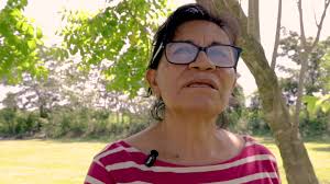 Festival de las Aves de la Zona de los Rios de Campeche