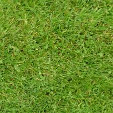 Textures Libraries 1 0 Sweet Home 3d Blog Grass Textures Grass Texture Seamless Best Grass Seed