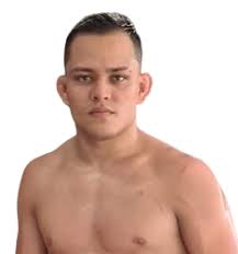 Зубайра Тухугов (Zubaira Tukhugov): статистика и бои