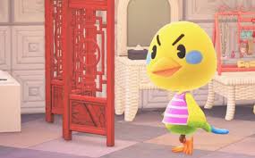 The pdf includes step by step instructions and photos. Nintendo Created An Animal Crossing Instagram Account And It Instantly Became Famous Destructoid