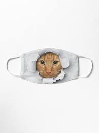 Funny Popping Cat Mask By Michisway Cat Mask Funny Cat Faces Cat Face Mask