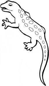 Free, printable coloring pages for adults that are not only fun but extremely relaxing. Gecko Coloring Page Animals Town Animals Color Sheet Gecko Printable Coloring