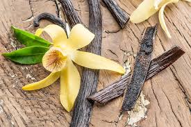 Image result for Vanilla polylepis
