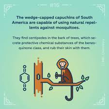 Chemistry Sets Reinvented Https Melscience Com En Chemistry Science Facts Fun Science