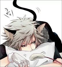 Anime Manga Anime Cat Boy Anime Neko Anime
