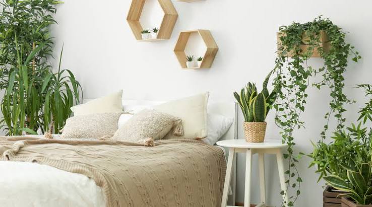Designing with Nature in Mind: Biophilic Bedroom Layouts That Boost Wellbeing