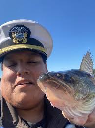 A bear is roaming around here