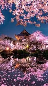 Nature Japon Japan An Immersive Guide By Voyage Onirique Photographies Wallpapers