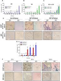 One site directly blocks the binding of the rna template strand and the other site clashes with the rna primer strand near the rdrp catalytic site, thus inhibiting rdrp activity. Frontiers Three Dimensional Vero Cell Platform For Rapid And Sensitive Screening Of Shiga Toxin Producing Escherichia Coli Microbiology