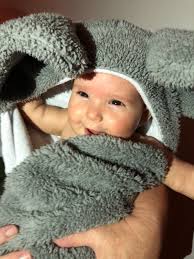 Jackie Hernandez (@vandre59)