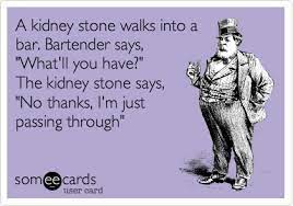Have one and wish you didn't? A Kidney Stone Walks Into A Bar Bartender Says What Ll You Have The Kidney Stone Says No Thanks I M Just Passing Through Kidney Stones Funny Kidney Stones Medical Humor