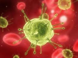 The human immunodeficiency virus (hiv) targets the immune system and weakens people's defense against many infections and some types of cancer. Aids Hiv Treatment Prevention Live Science
