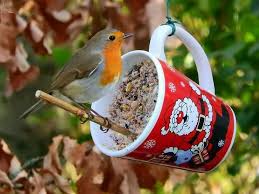 Pin By Daizai On Robins Robin Bird European Robin Garden Animals