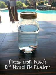 Diy Natural Fly Repellent Natural Fly Repellant Fly Repellant Fly Repellant Diy