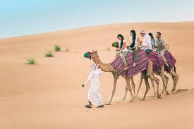 From camel racing to camel meat and milk chocolate. Dubai 30 Mins Quad Bike Ride Desert Safari Camel Ride Sand Boarding Bbq Dinner Marriott Vacation Club