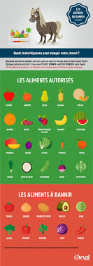 35401610 Jpg 1216 3445 Friandises Pour Cheval Fruits Et Legumes Alimentation