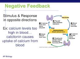 Systems Part 3 Notes Endocrine System Ppt Download