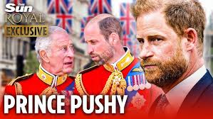 What Is Life Really Like for Harry and Meghan in the U.S?