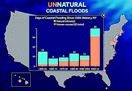 Rising Tides Downtown Flooding Linked To Climate Change