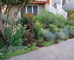 Front Yard Garden No Mowing There S A Small Patio Closer To The House Screened By The Small Front Yard Landscaping Front Yard Landscaping Front Yard Garden