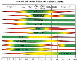 agriculture market feed blog the andersons plant nutrient